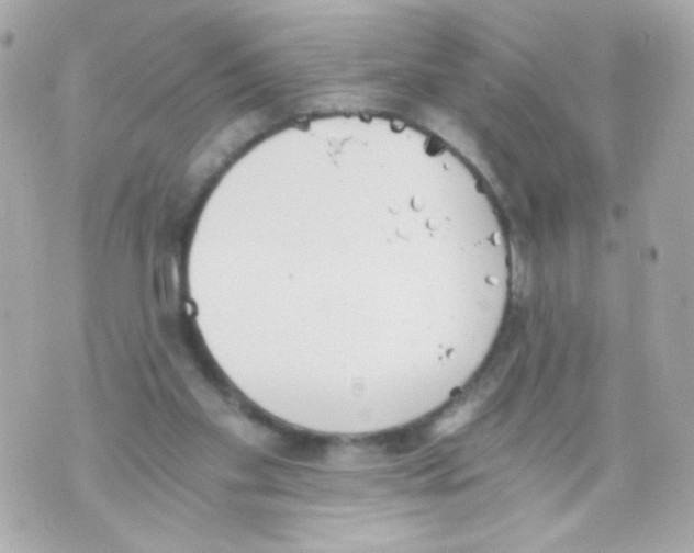 X0000069830109200606161950