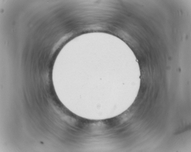 X0000069830112200606161950