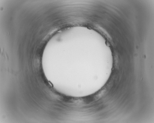 X0000069830113200606161950