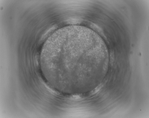 X0000069830114200606161950