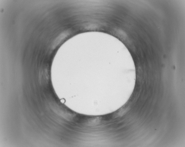 X0000069830116200606161950