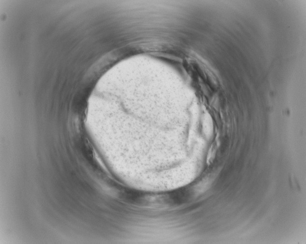 X0000069830117200606161950