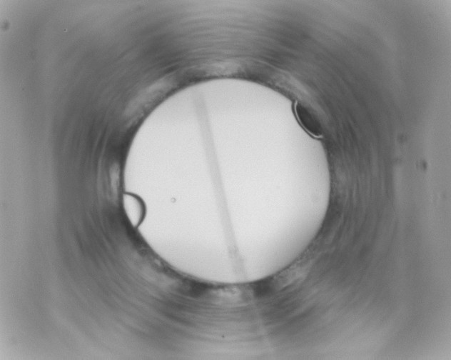 X0000069830118200606161950