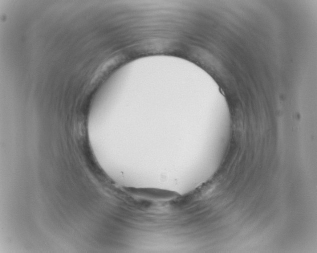 X0000069830119200606161950