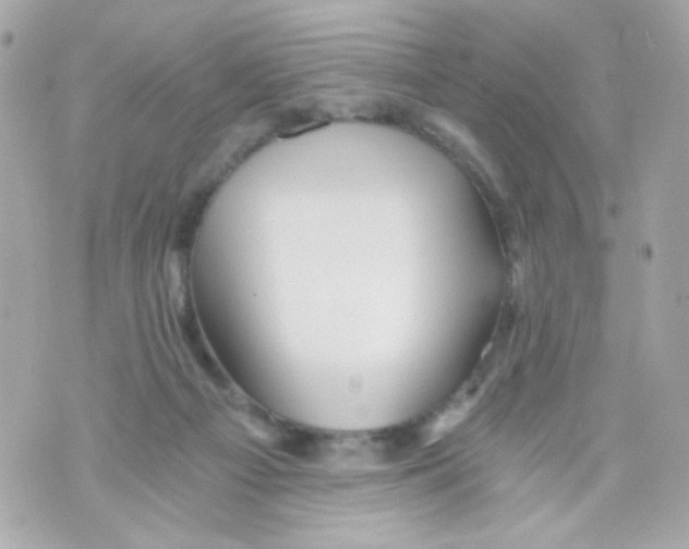 X0000069830121200606161950