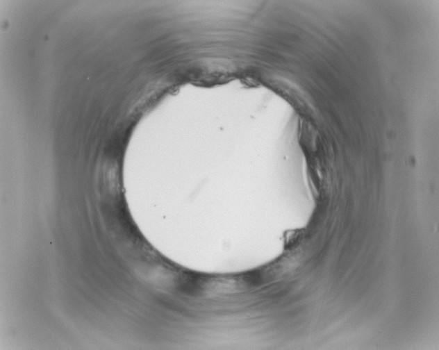 X0000069830123200606161950