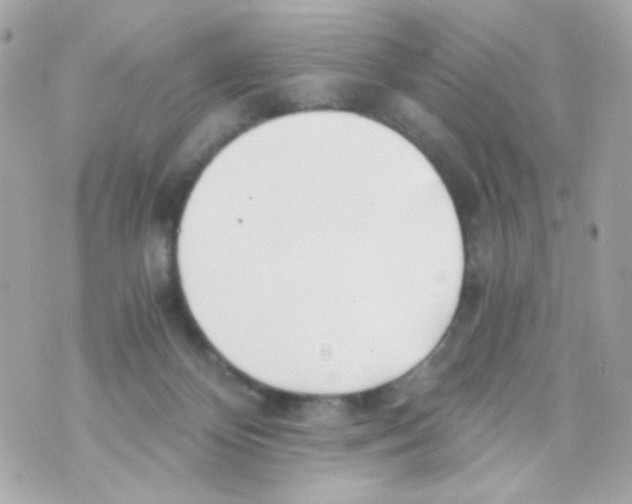 X0000069830124200606161950