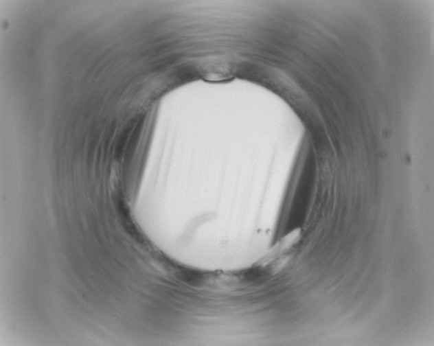 X0000069830125200606161950