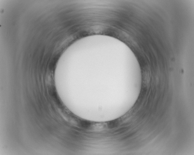 X0000069830126200606161950