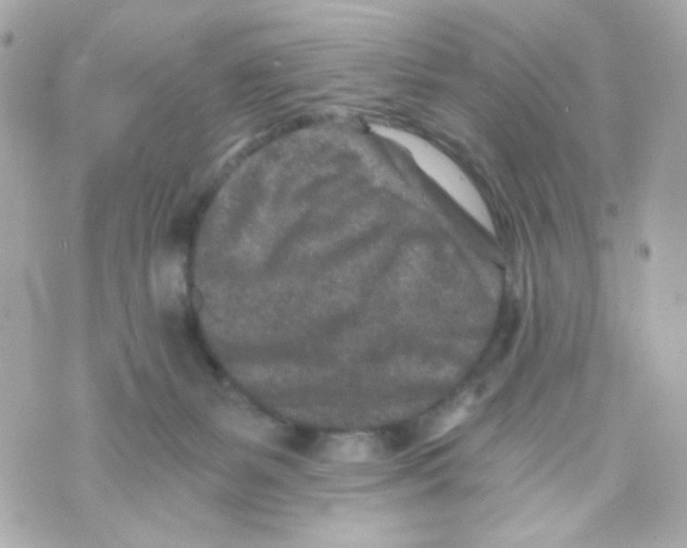 X0000069830127200606161950