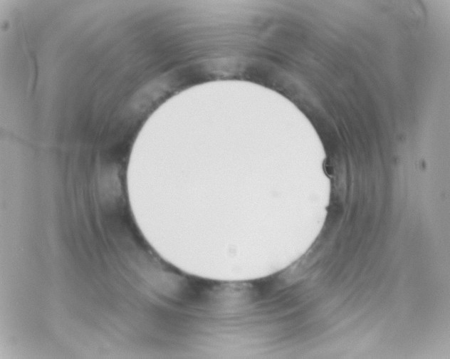 X0000069830128200606161950