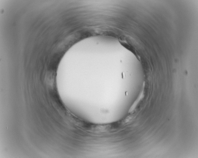 X0000069830129200606161950