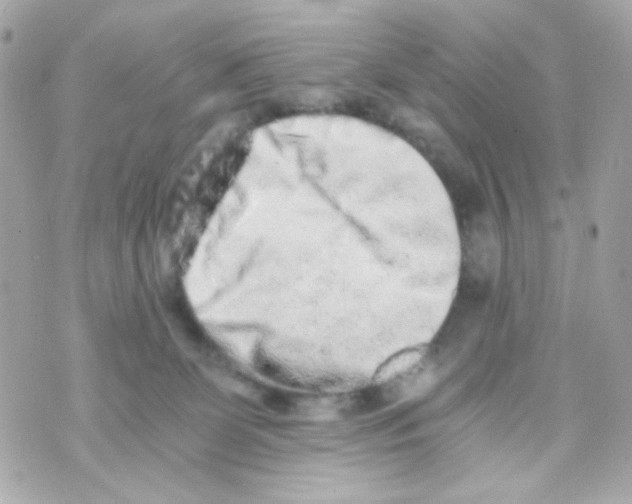 X0000069830131200606161950