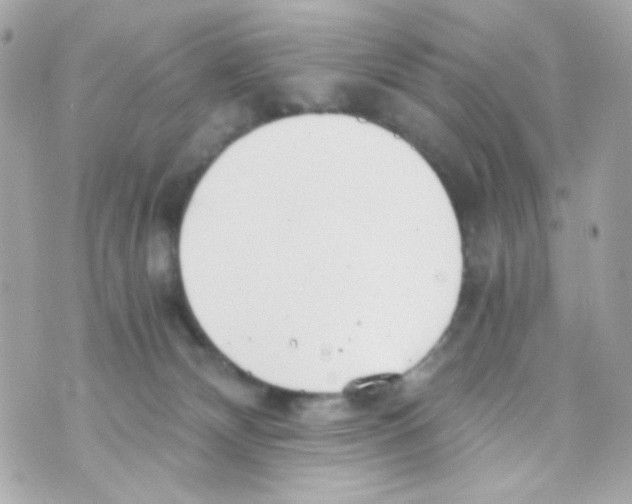 X0000069830132200606161950