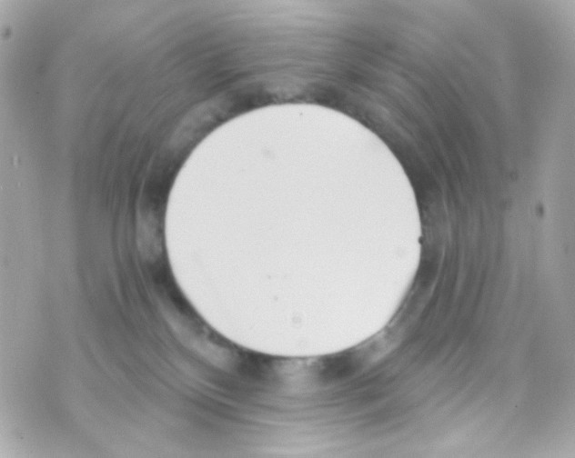 X0000069830136200606161950