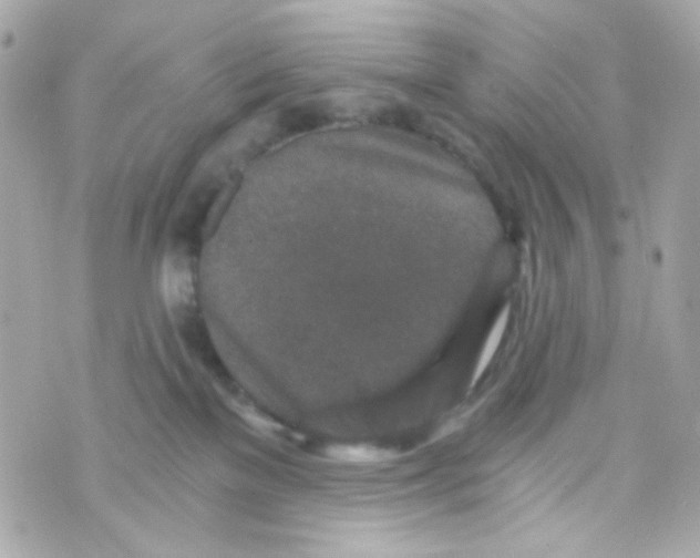 X0000069830137200606161950