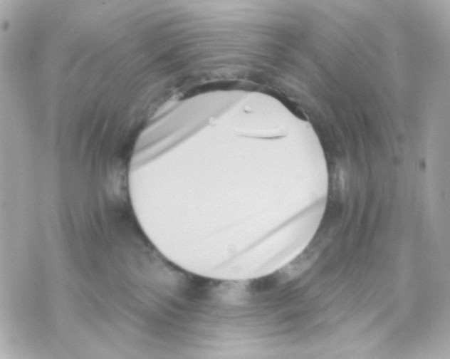 X0000069830138200606161950