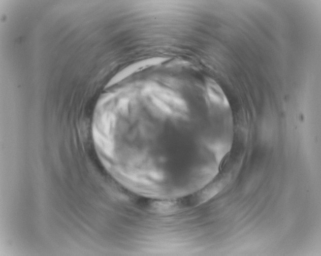 X0000069830139200606161950