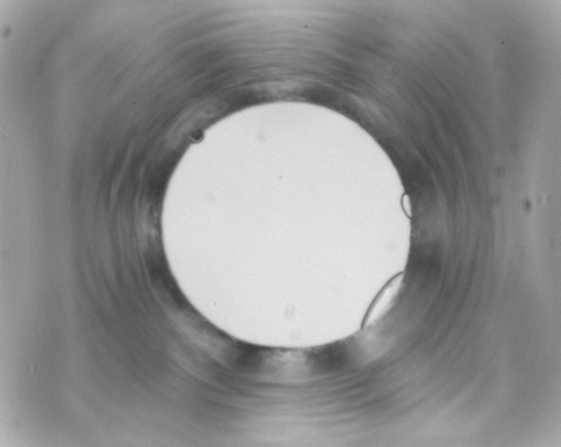 X0000069830140200606161950