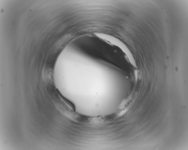 X0000069830141200606161950