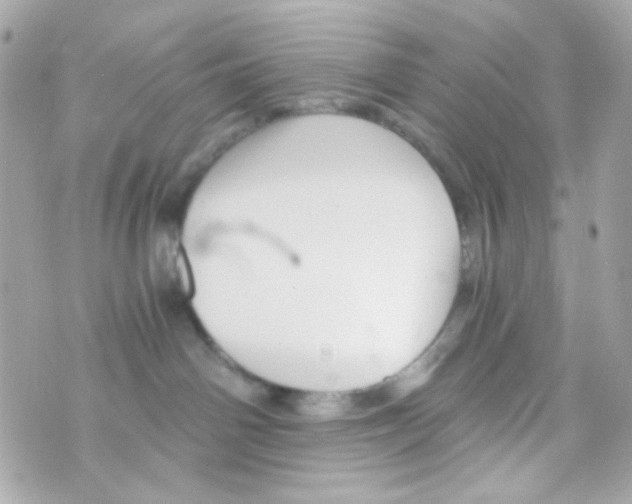 X0000069830142200606161950