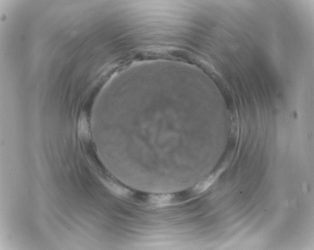 X0000069830143200606161950