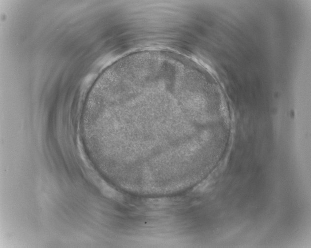 X0000069830145200606161949