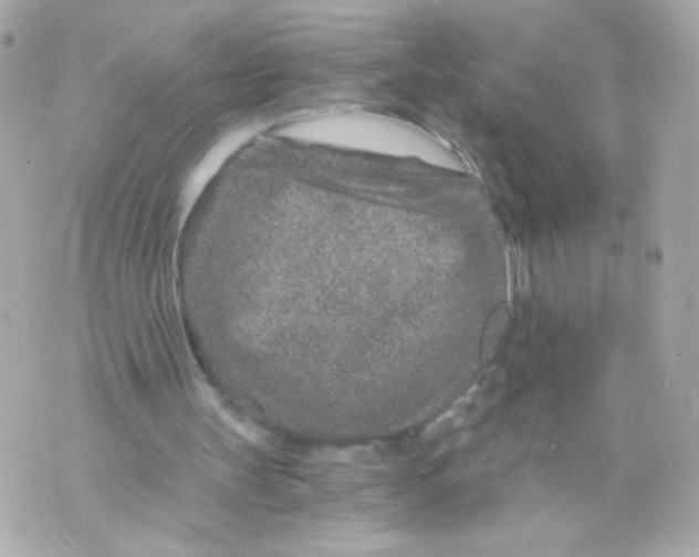 X0000069830147200606161949