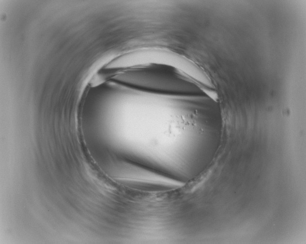 X0000069830148200606161949