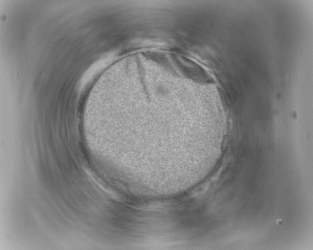 X0000069830149200606161949