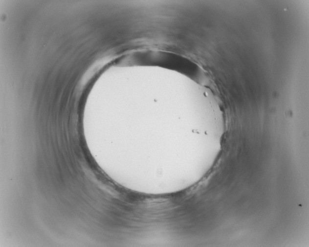 X0000069830150200606161949