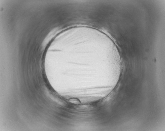 X0000069830151200606161949