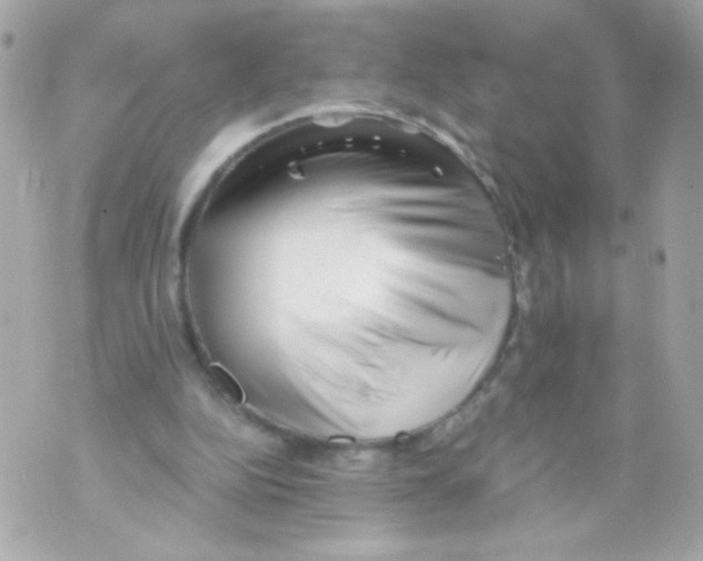 X0000069830152200606161949