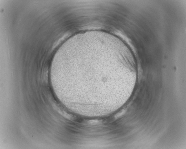 X0000069830153200606161949