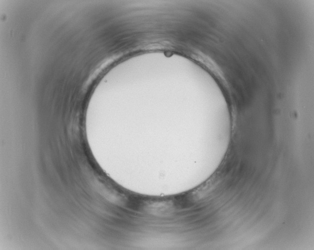 X0000069830155200606161949