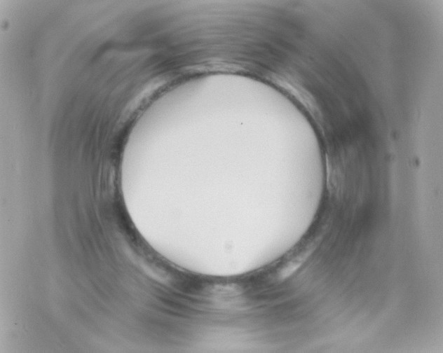 X0000069830157200606161949