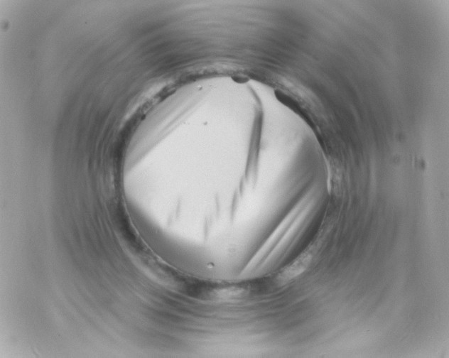 X0000069830158200606161949