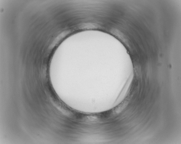 X0000069830159200606161949