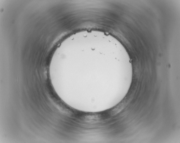 X0000069830160200606161949