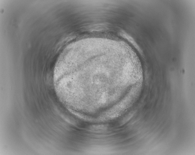 X0000069830161200606161949