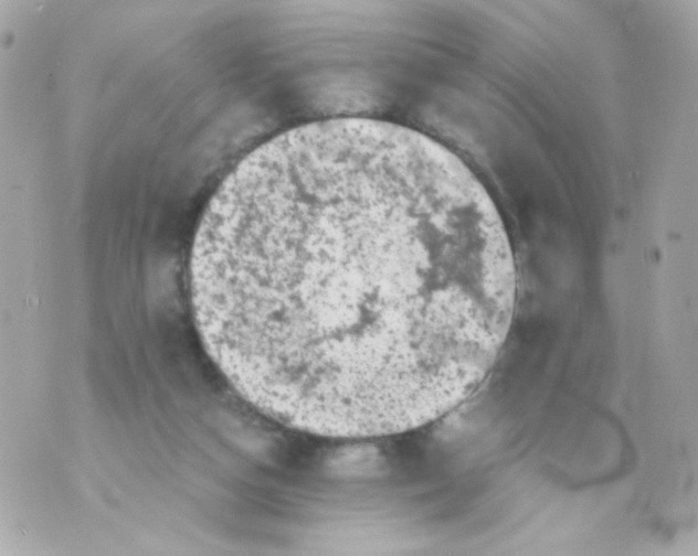 X0000069830162200606161949