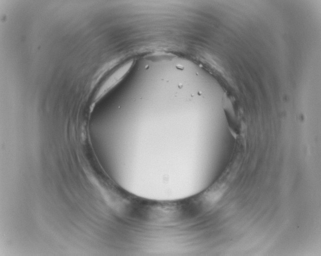 X0000069830164200606161949