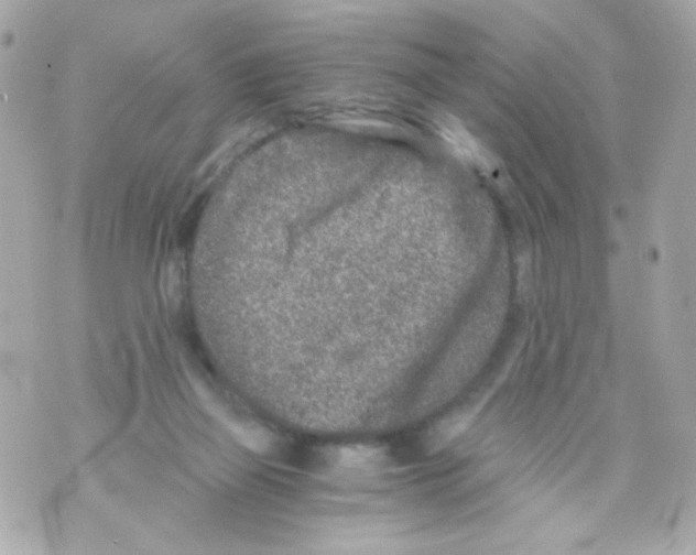 X0000069830165200606161949