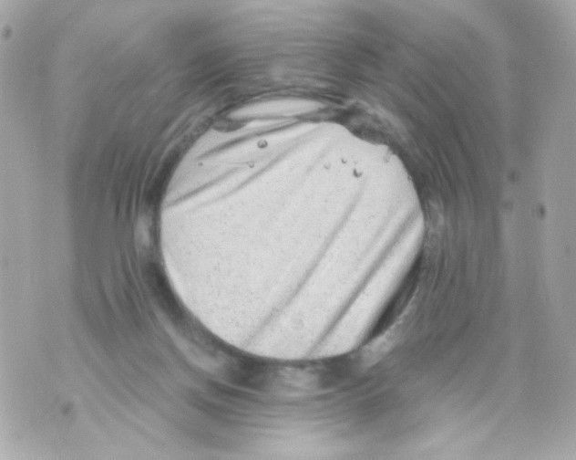 X0000069830166200606161949