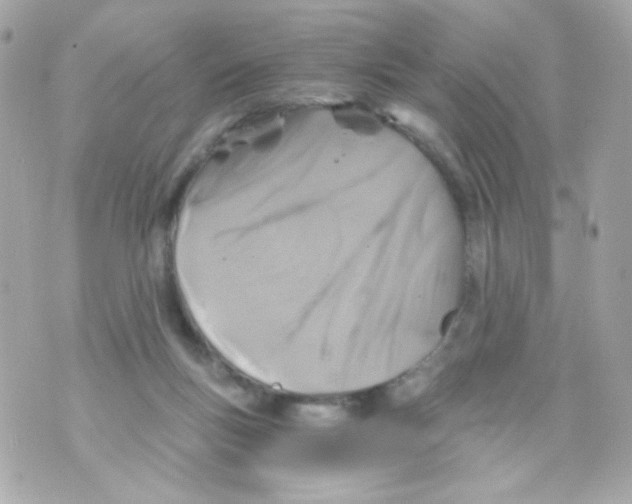 X0000069830167200606161949