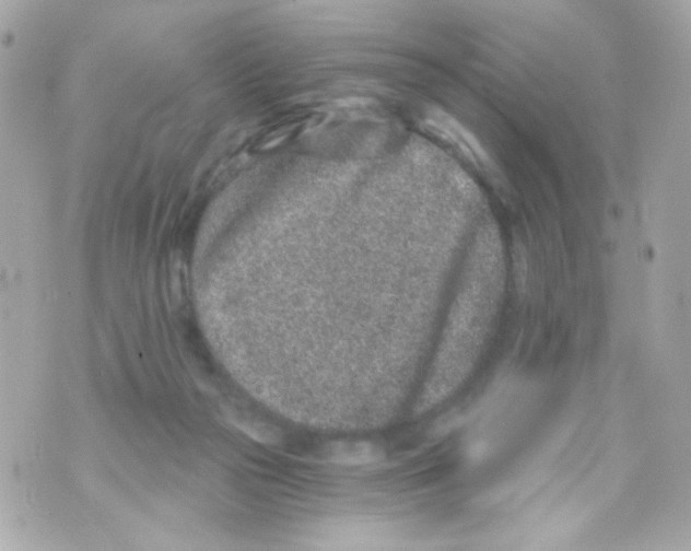 X0000069830169200606161949