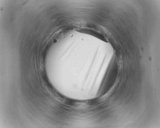 X0000069830170200606161949