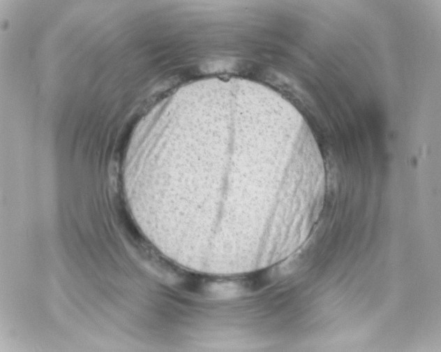 X0000069830171200606161949