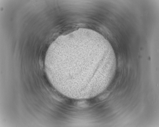 X0000069830173200606161949