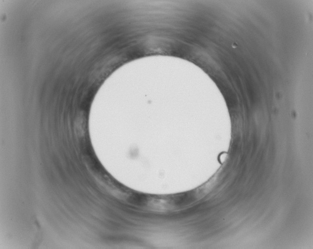 X0000069830174200606161949